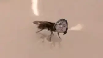 合成郭老师 人间污染 哔哩哔哩 Bilibili