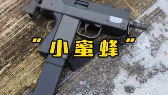 “小蜜蜂”