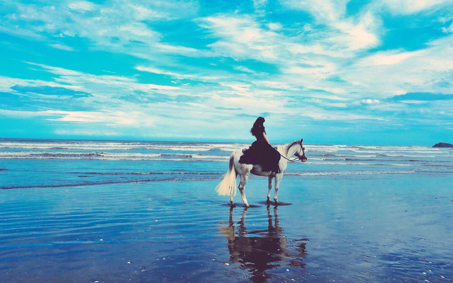 aimer花びらたちのマーチ伴奏