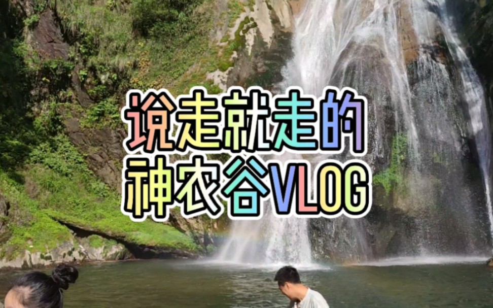 和同事说走就走的旅行!炎陵神农谷一日游vlog!哔哩哔哩bilibili