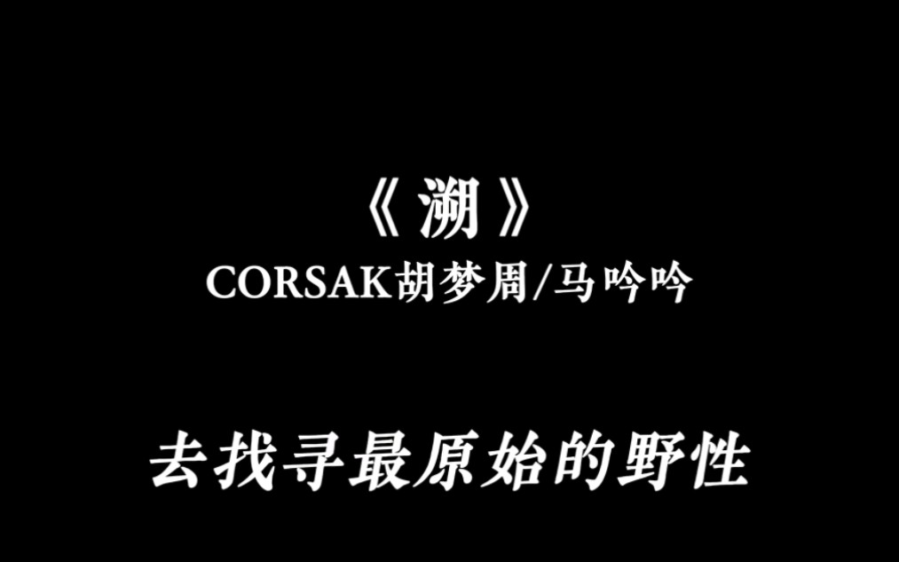 [图]《溯》CORSAK胡梦周/马吟吟 0.9x（降调版）