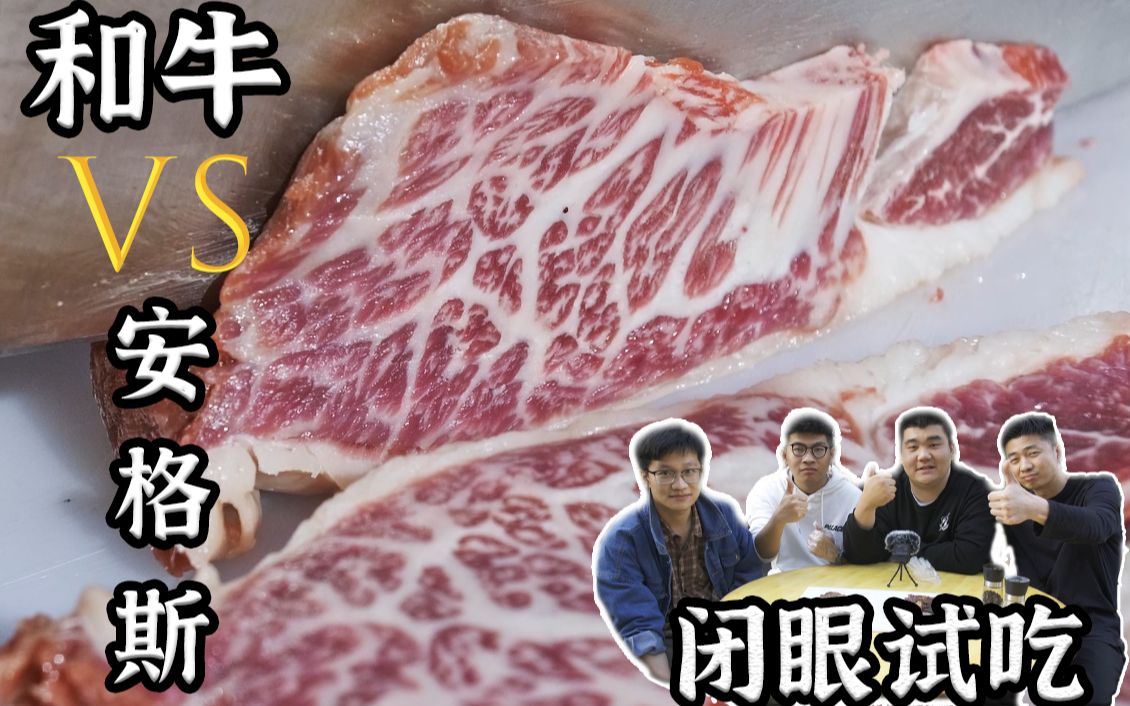 【大春肉食】500元一斤的和牛还不如几十块的安格斯???哔哩哔哩bilibili