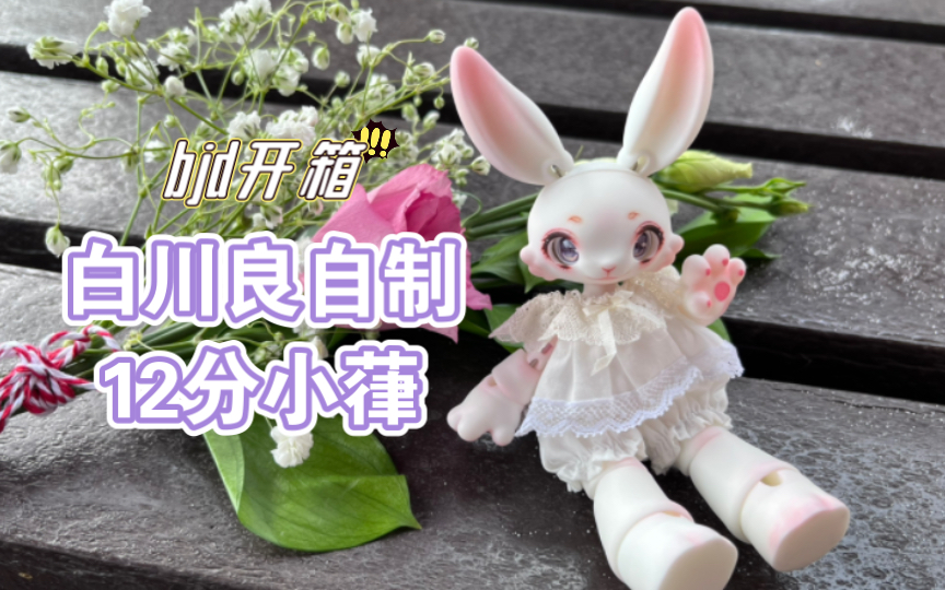 【bjd】白川良12分小葎开箱:谁能拒绝软乎乎的兔兔呢!哔哩哔哩bilibili