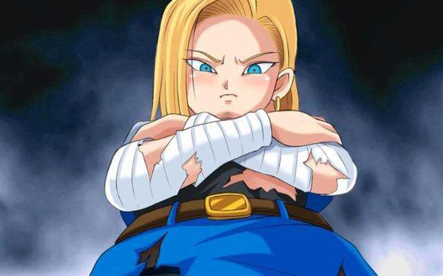 龙珠斗士z18号使用心得报告