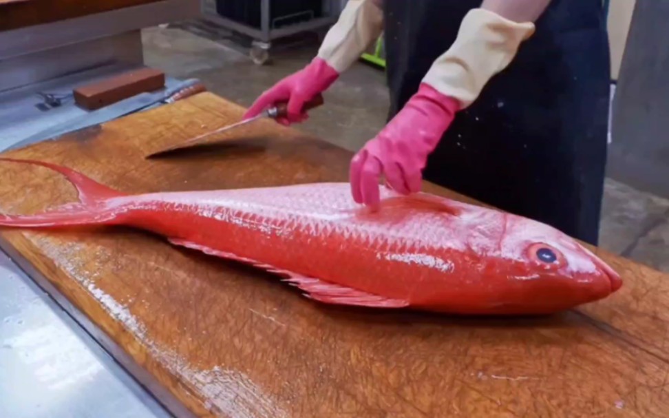 巨大丝尾红钻鱼!用台湾特色小吃甘树子蒸鱼,味道真是太美味了!