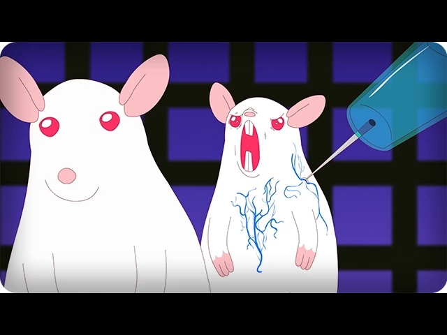 youtube动画:pinky and the brain