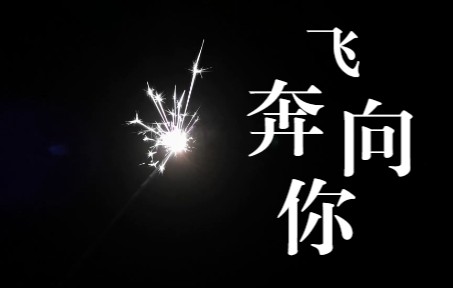 【飞奔向你】祝我生日快乐(*^▽^*)