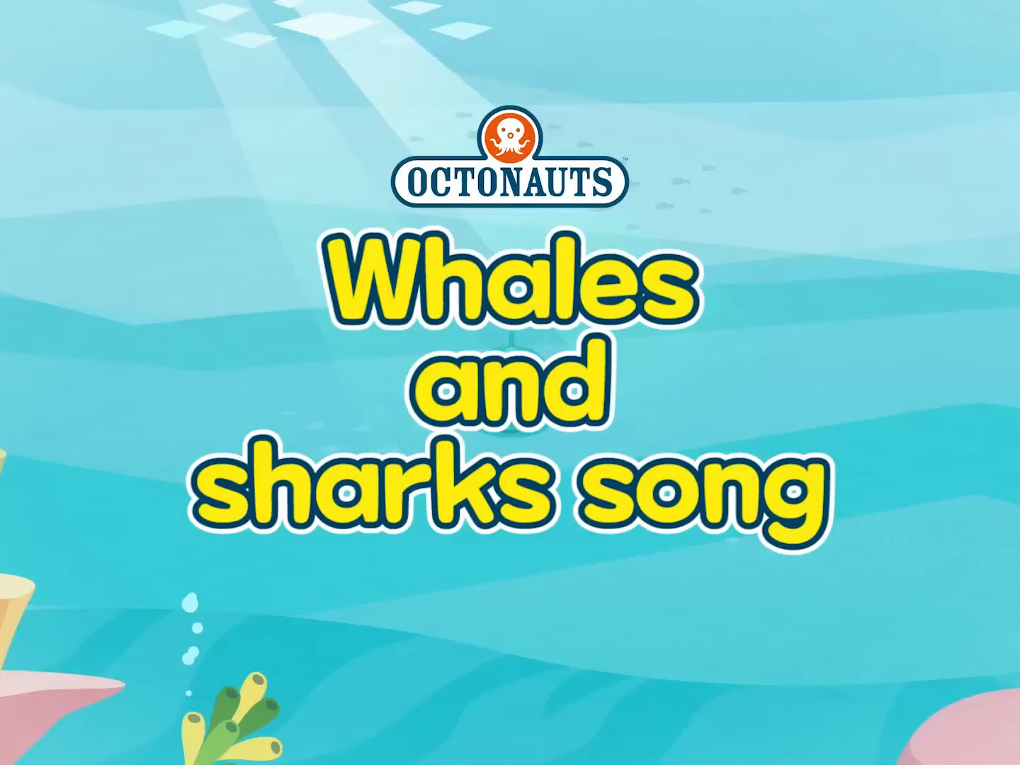 鲸鱼和鲨鱼少儿歌曲 海洋动物英语 儿童启蒙高清The Octonauts  Whales and Sharks song Official哔哩哔哩bilibili