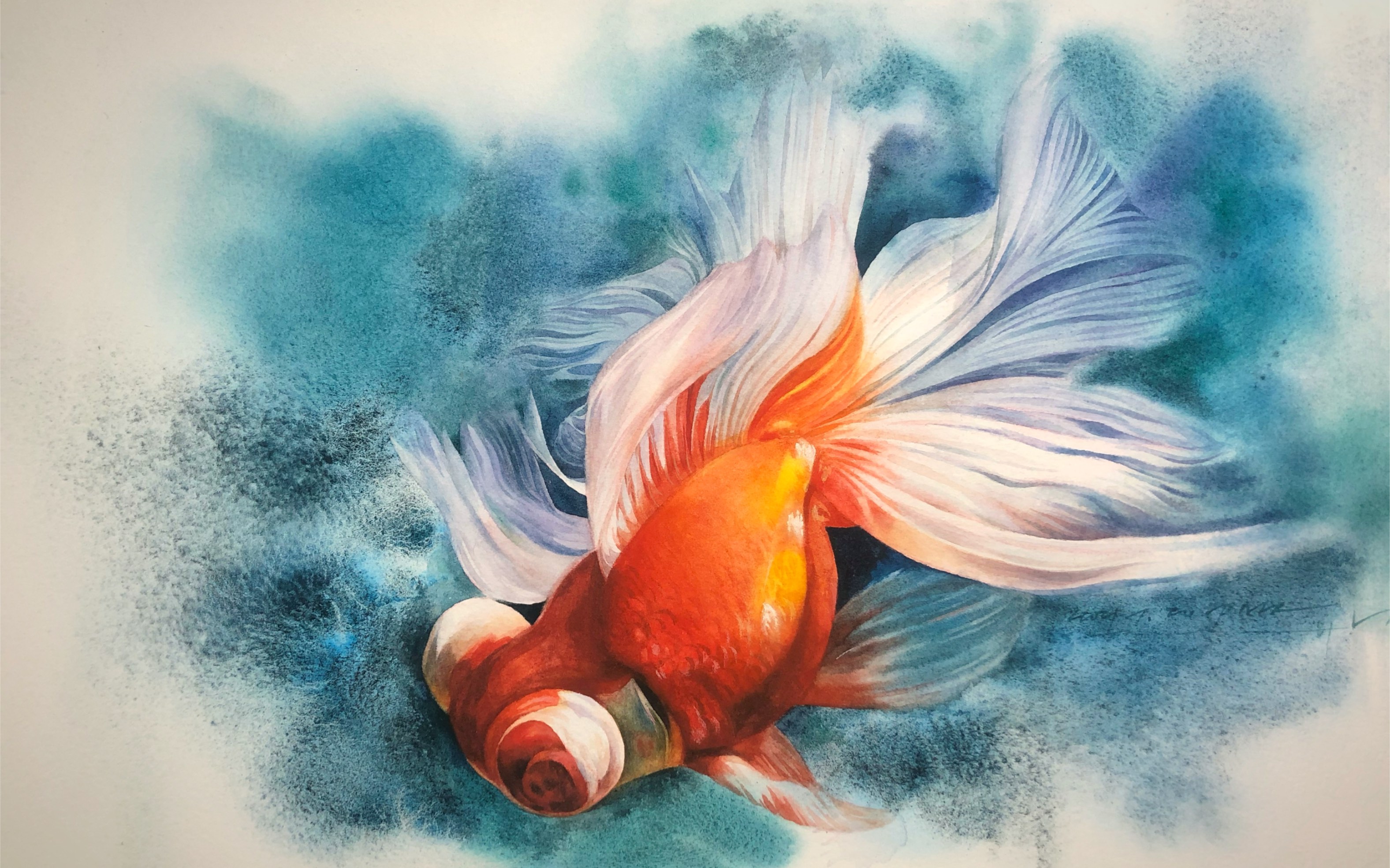 【水彩】转发这条金鱼会不会获得好运!