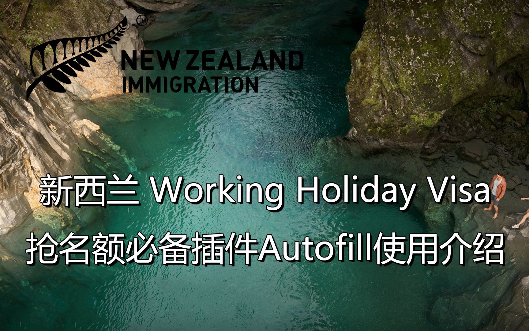 新西兰WorkingHolidayVisa抢名额必备插件Autofill使用介绍哔哩哔哩bilibili