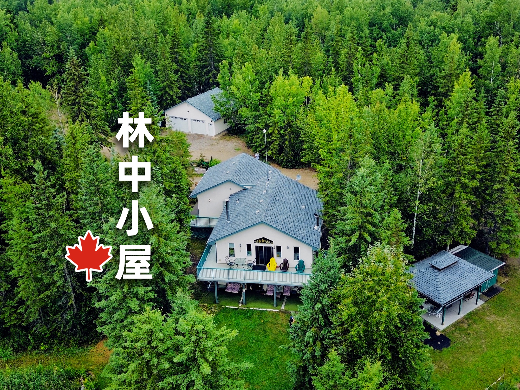 加拿大林中度假小屋
