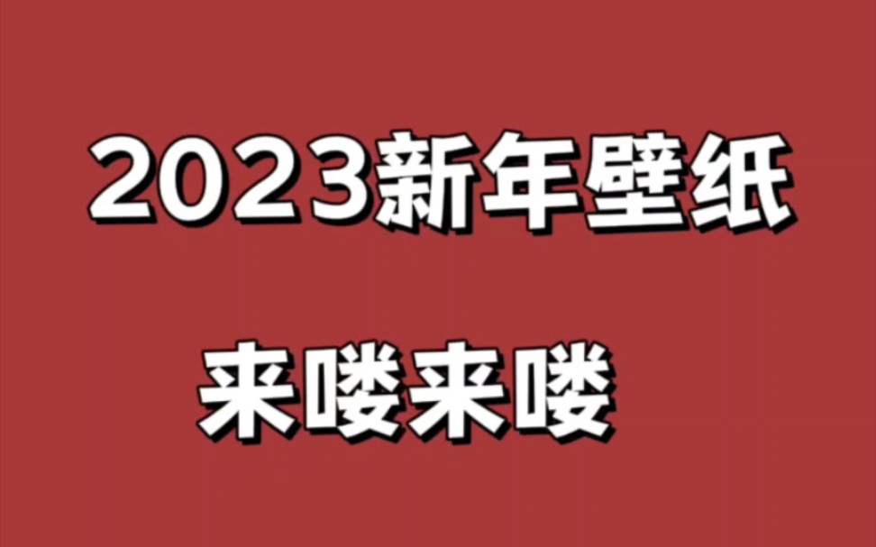 2023兔年壁纸哔哩哔哩bilibili