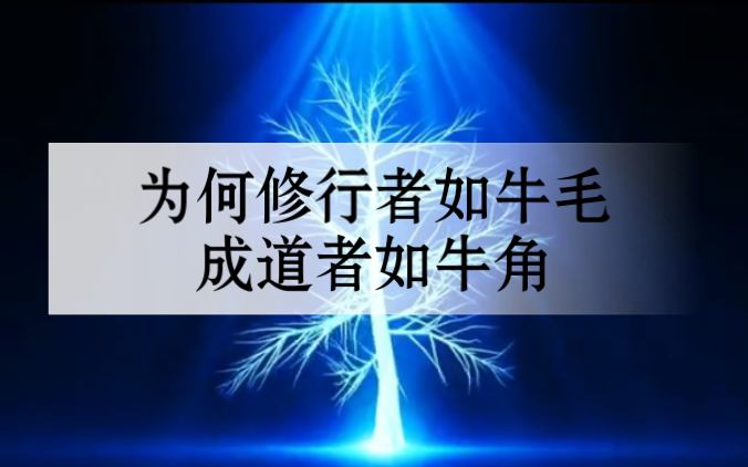 为何修行者如牛毛,成道者如牛角哔哩哔哩bilibili