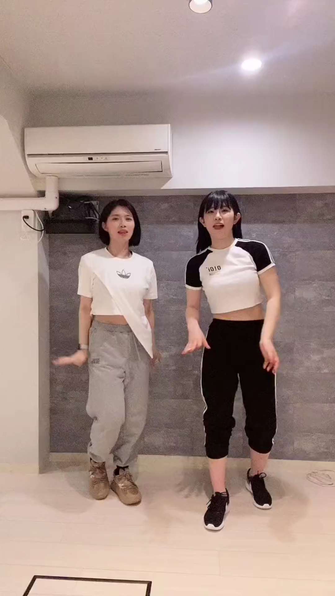 葵伊吹和石原希望