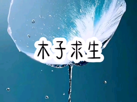 [图]茗（木子求生）#小说推文