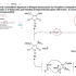 福山机理C019，演习で学ぶ+有机反応机构，福山+透