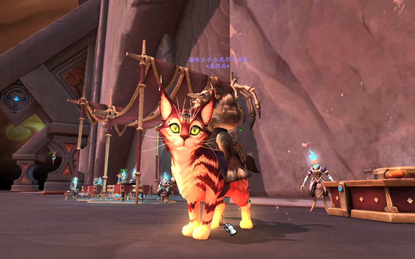 [魔兽世界]暴雪商城新坐骑:暖日绒猫(大橘猫)