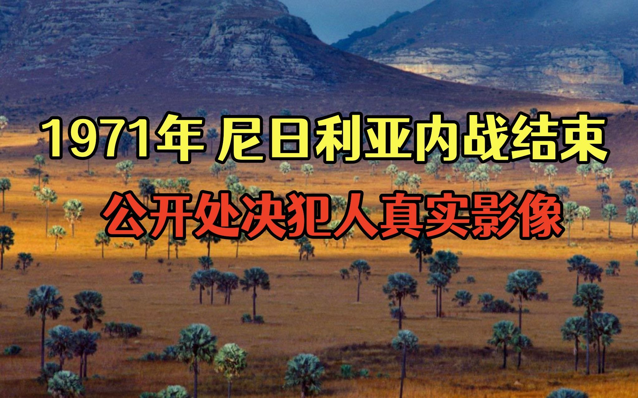 1971年,尼日利亚内战结束公开枪决犯人,数万百姓进行围观哔哩哔哩bilibili