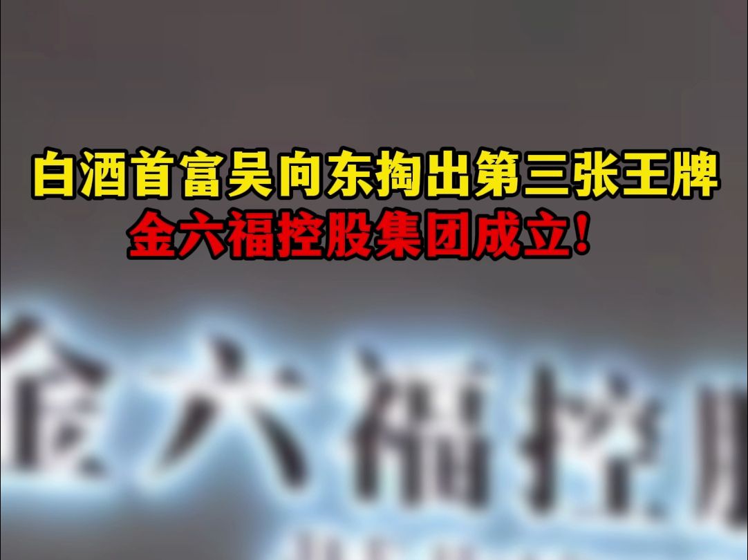 白酒首富吴向东掏出第三张王牌,金六福控股集团成立!哔哩哔哩bilibili