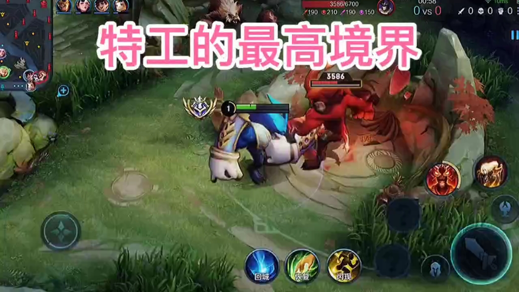 lol辅助_辅助lol简称_好玩的辅助lol