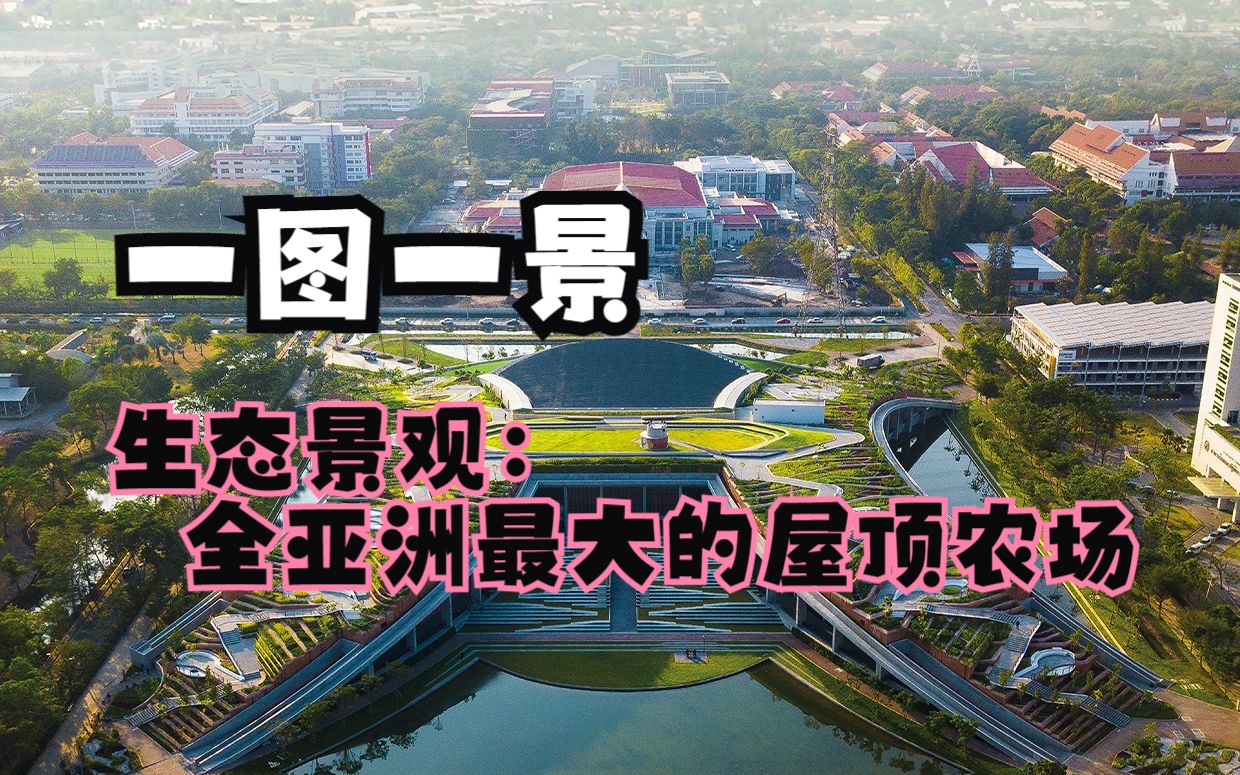 【一图一景】生态景观:全亚洲最大的屋顶农场哔哩哔哩bilibili