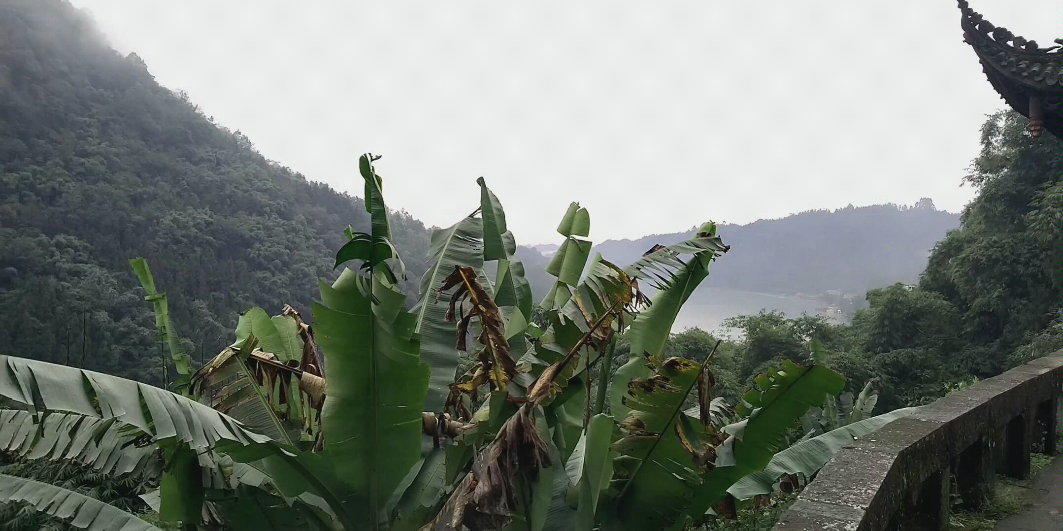 眉山洪雅风景哔哩哔哩bilibili