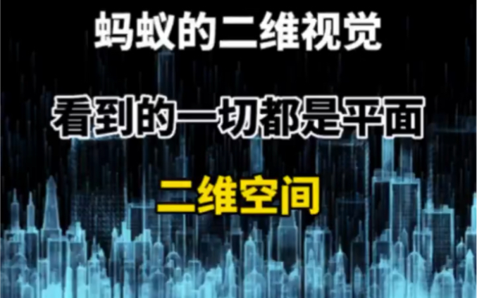 二维空间,只有平面,感觉不到空间的存在#冷知识专题哔哩哔哩bilibili