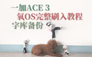 Télécharger la video: 一加Ace3刷入氧OS  No.2有字库备份的，无需翻看上一期