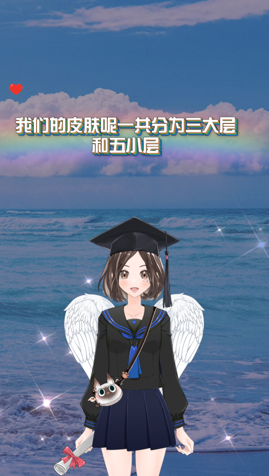 面部皮肤结构哔哩哔哩bilibili