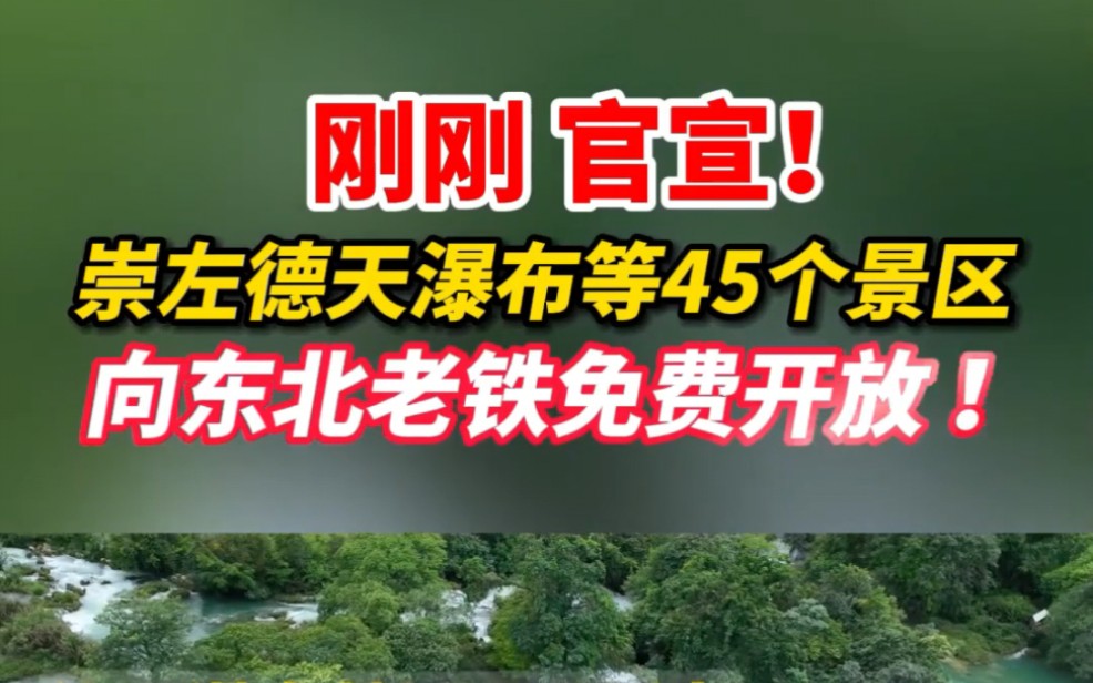 刚刚官宣 崇左德天瀑布等45个景区向东三省门票全免费 广西为了感谢照顾小沙糖桔还免费送了11车水果过去哔哩哔哩bilibili