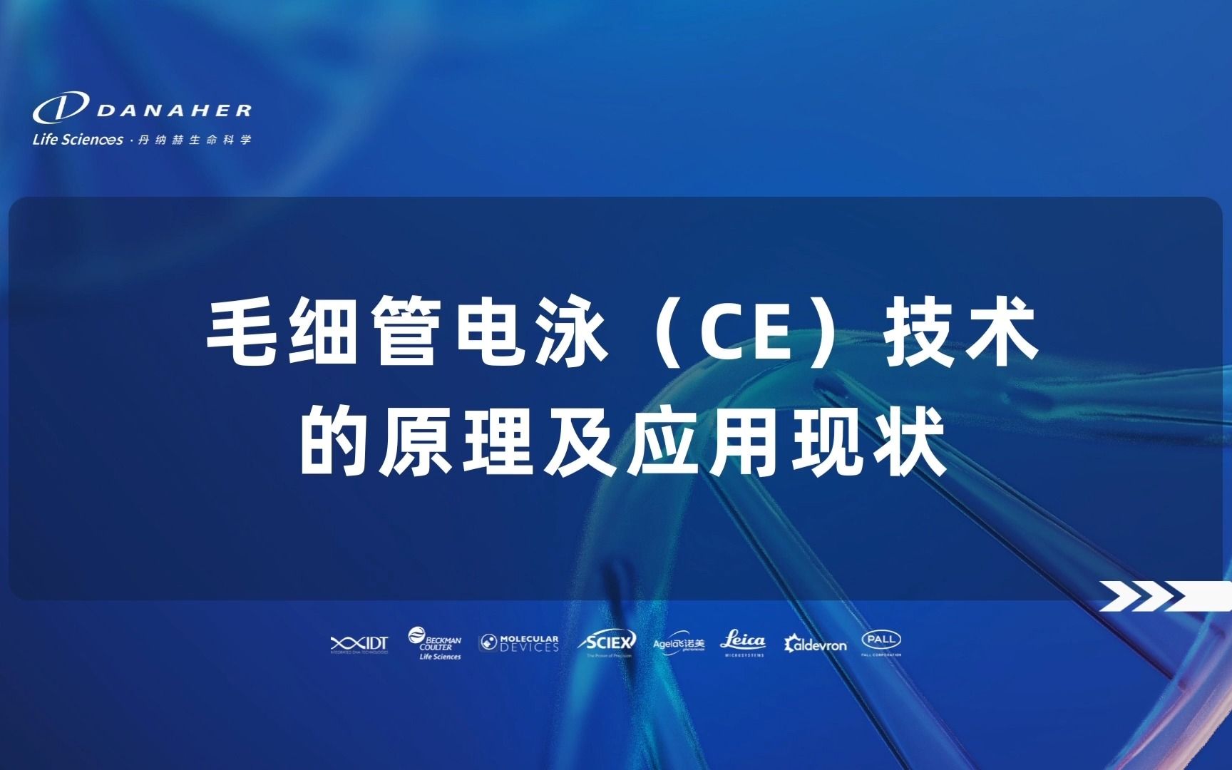 毛细管电泳(ce)技术的原理及应用现状