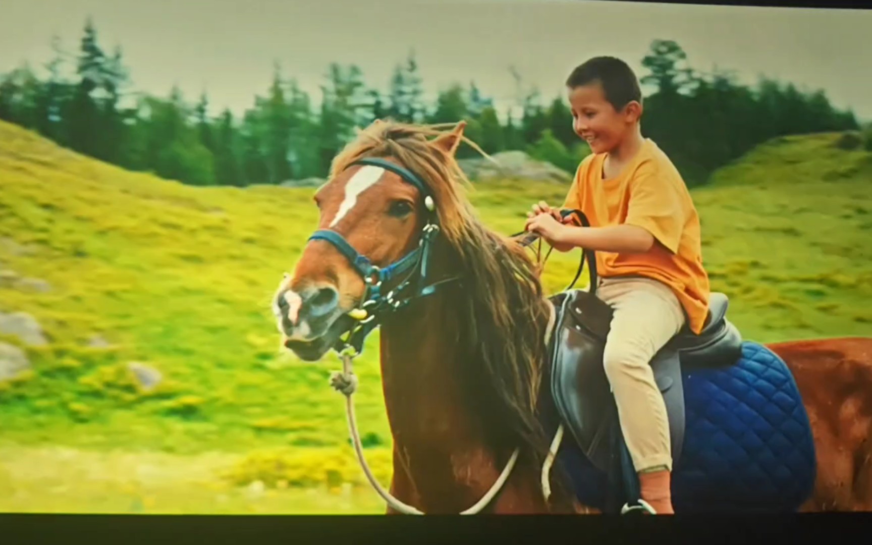 小马鞭,新疆人的质朴,勇敢,和热爱马的精神演绎的非常到位!