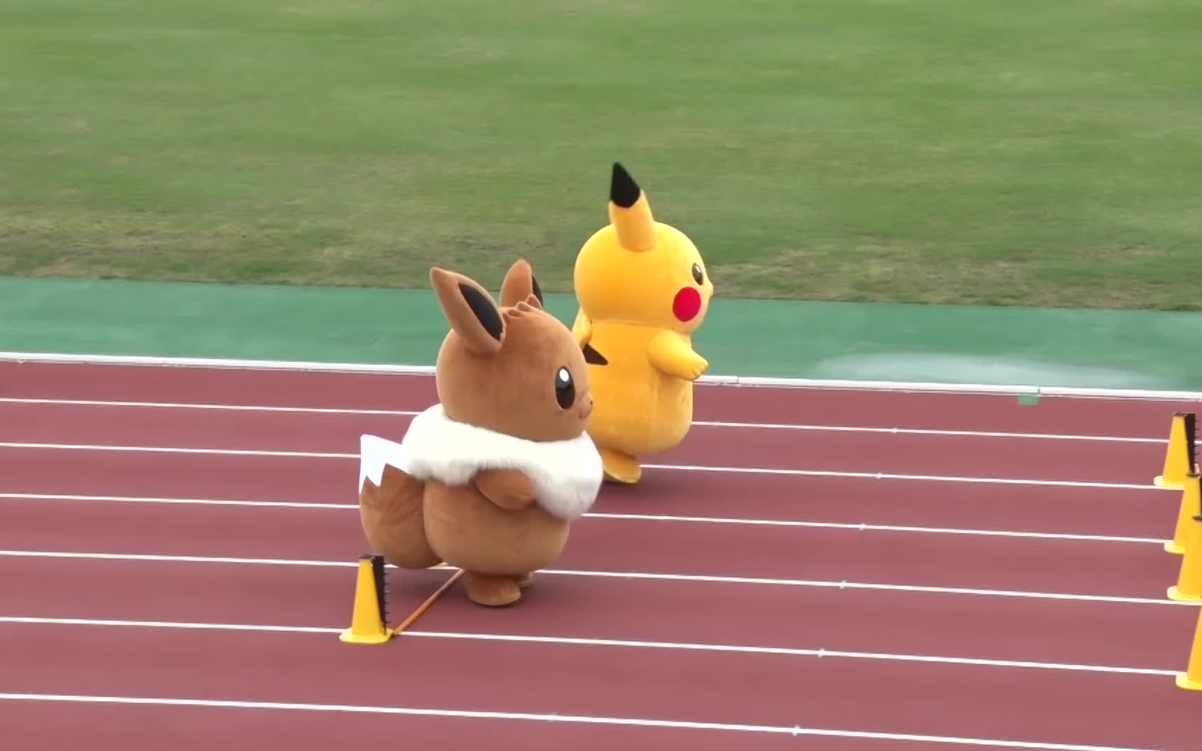 伊布vs皮卡丘赢的是哪一个全11项目总集篇