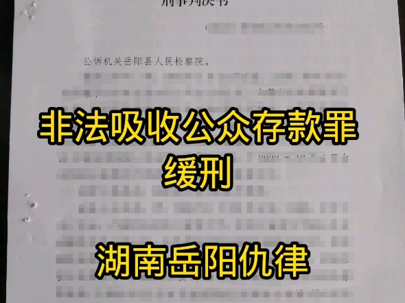 非法吸收公众存款罪缓刑哔哩哔哩bilibili