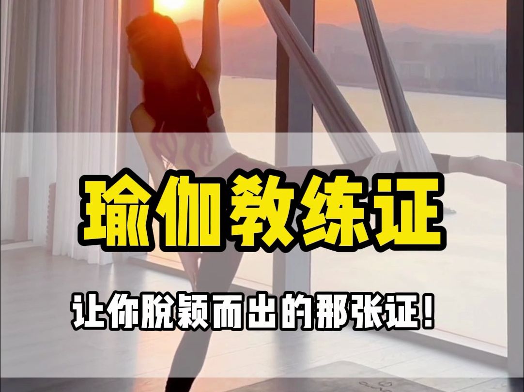 想考证?瑜伽教练证报考流程揭秘!哔哩哔哩bilibili