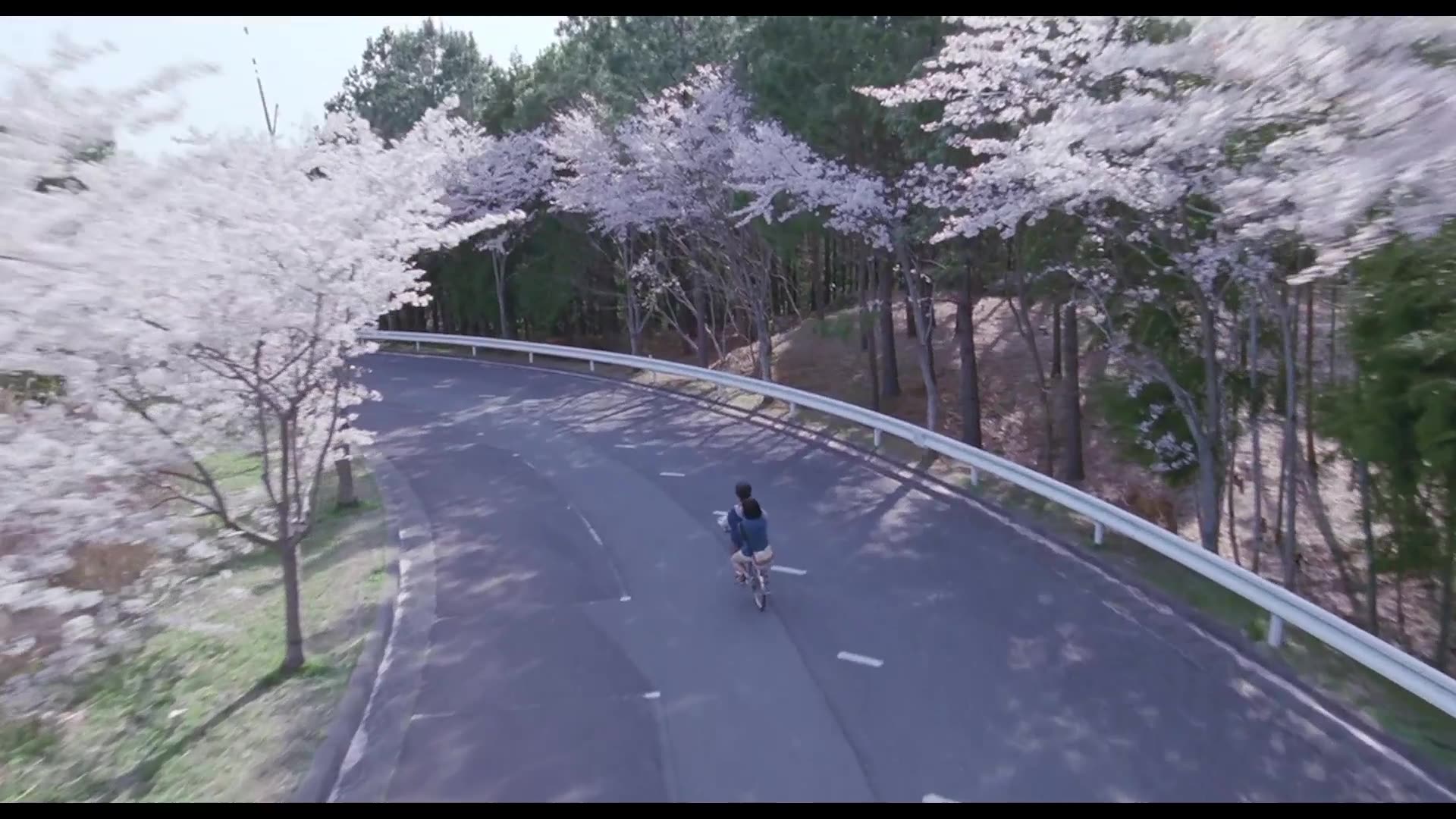 是枝裕和镜头里的岁月静好01第一集海街日记