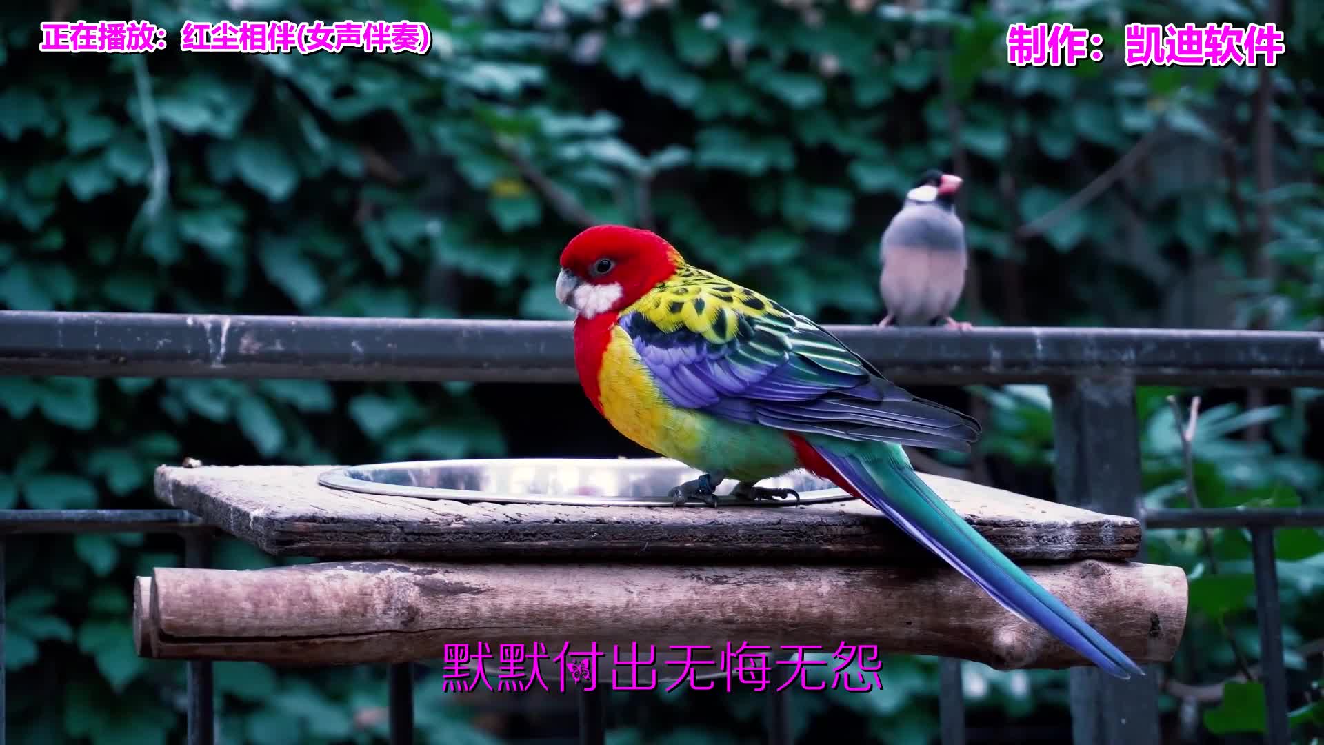 [图]《红尘相伴(女声伴奏)》欣赏，什么软件可以做mv