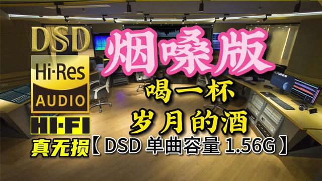 [图]烟嗓版《喝一杯岁月的酒》DSD完整版，单曲容量1.56G