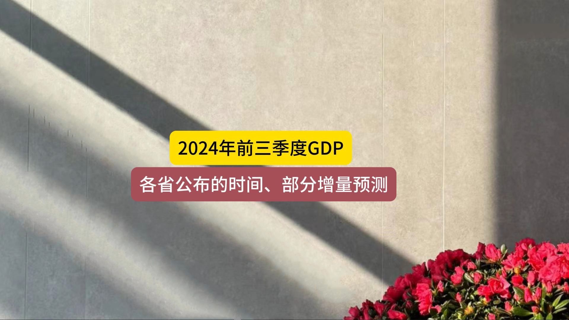 2024年前三季度GDP部分省份公布时间预告哔哩哔哩bilibili