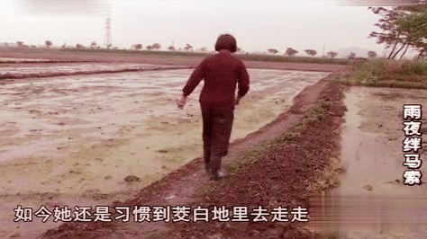 [图]雨夜绊马索（凶案）