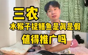 Download Video: 三农领域，水猴子捉鳝鱼，是真是假，值得思考