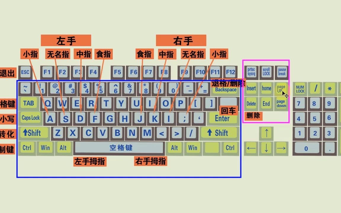 五笔打字:电脑基础入门指法练习,不背字根学五笔打字教程哔哩哔哩bilibili