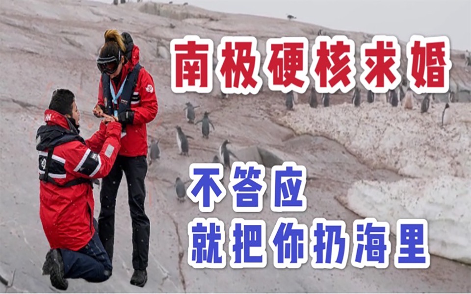 活动作品艾力我在南极求婚成功啦