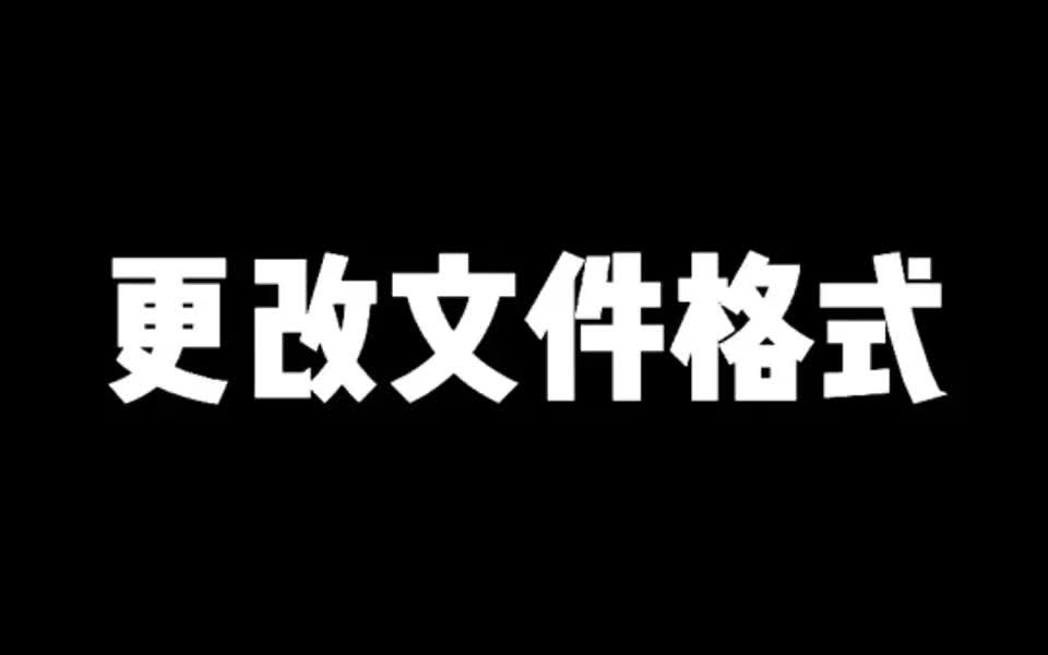 更改文件格式哔哩哔哩bilibili