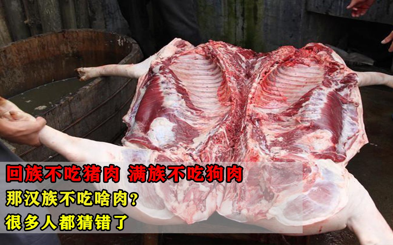 回族不吃猪肉,满族不吃狗肉,那汉族不吃啥肉?很多人都猜错了哔哩哔哩bilibili