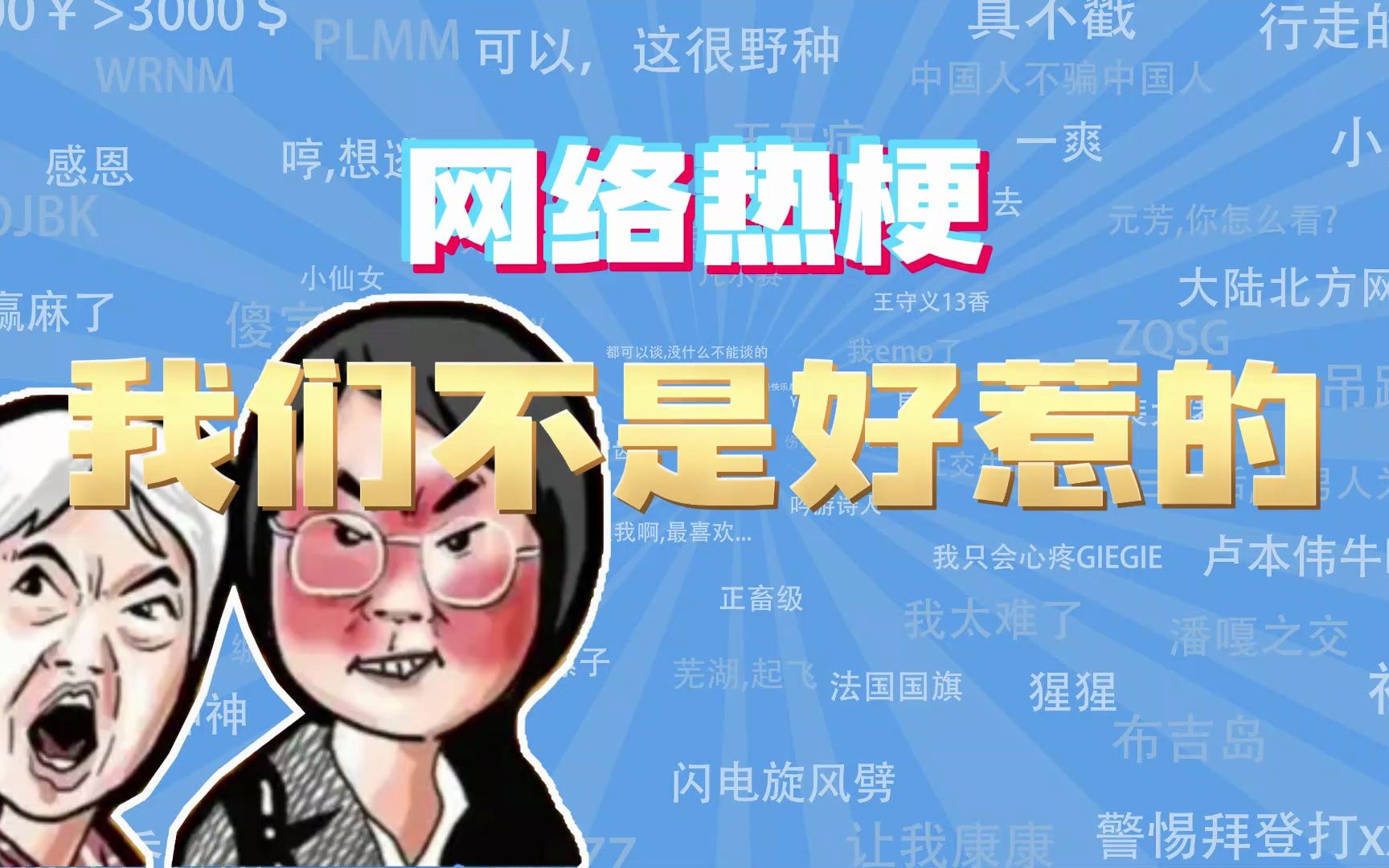 【网梗课代表】我们不是好惹的是什么梗?哔哩哔哩bilibili