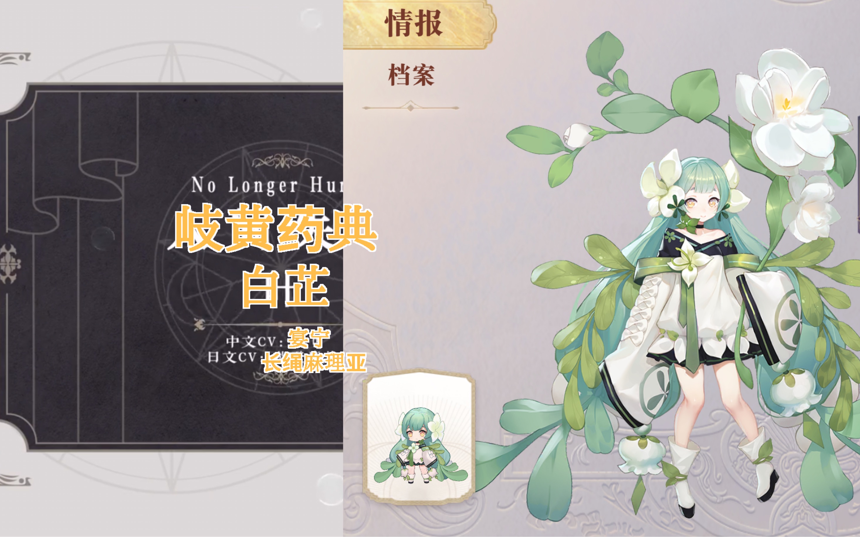 【幻书启世录】《岐黄药典》白芷丨悬壶济世 妙手回春