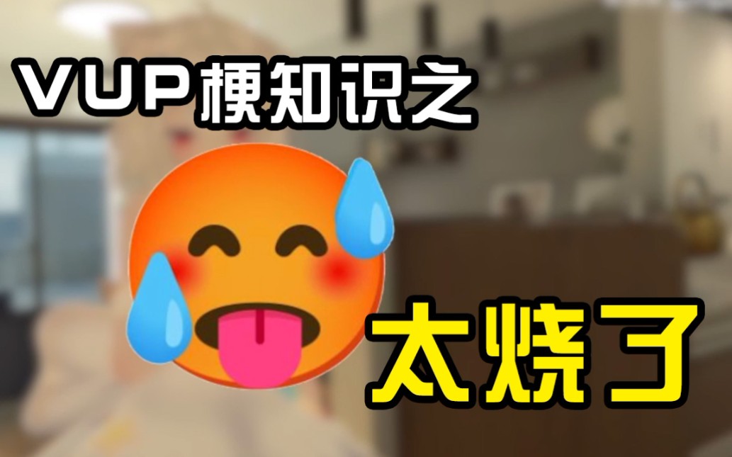 VUP梗知识:太烧了哔哩哔哩bilibili