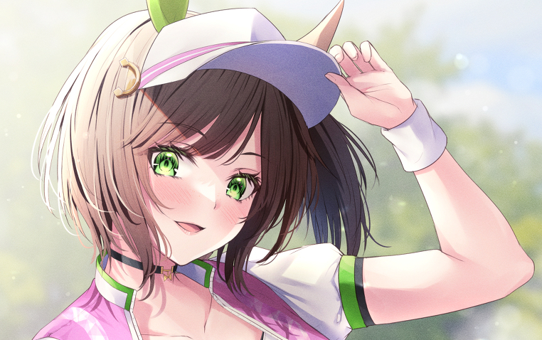 【河豚の愛馬】艾尼斯风神--日本杯比赛