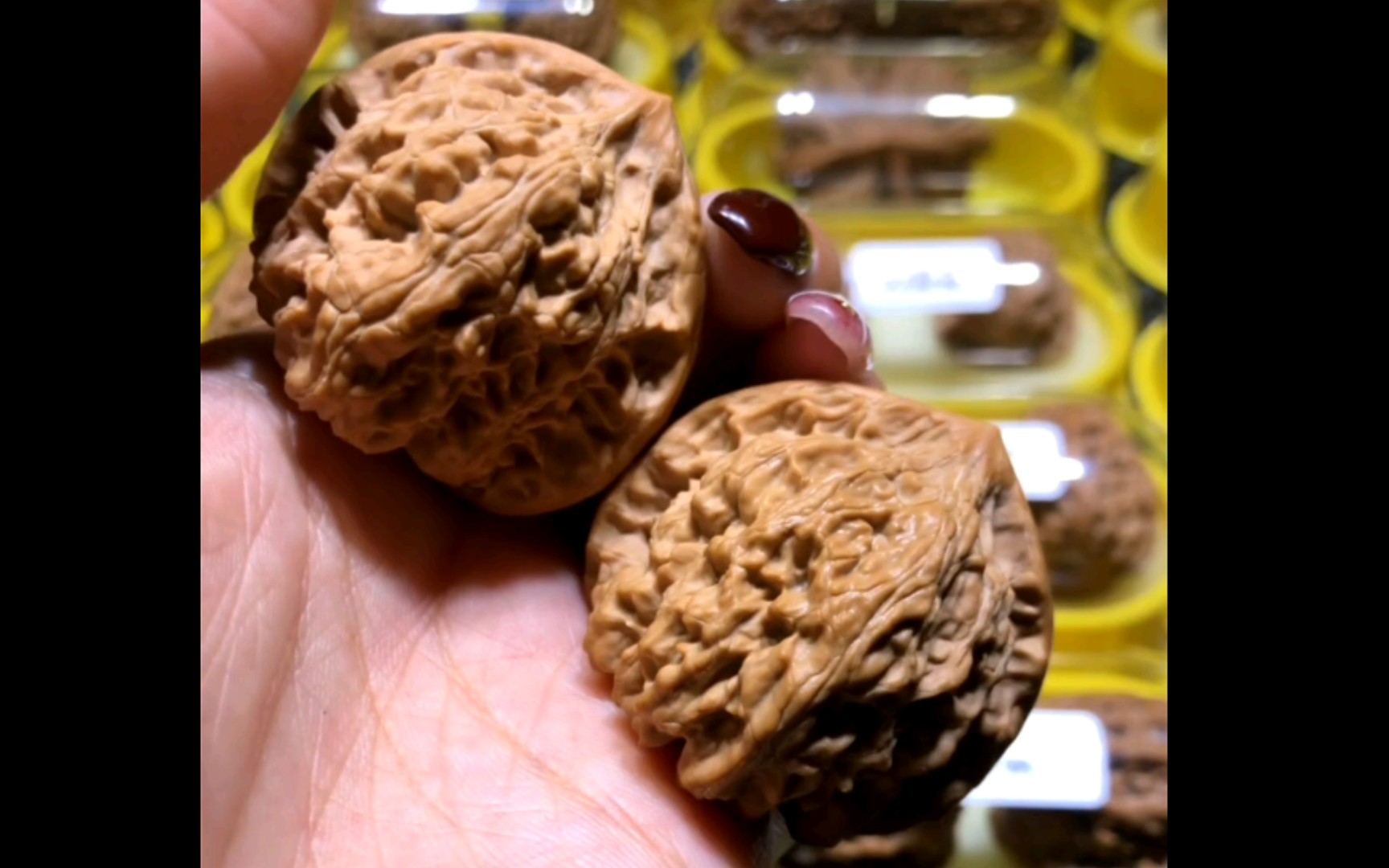 小众精品火焰核桃一对